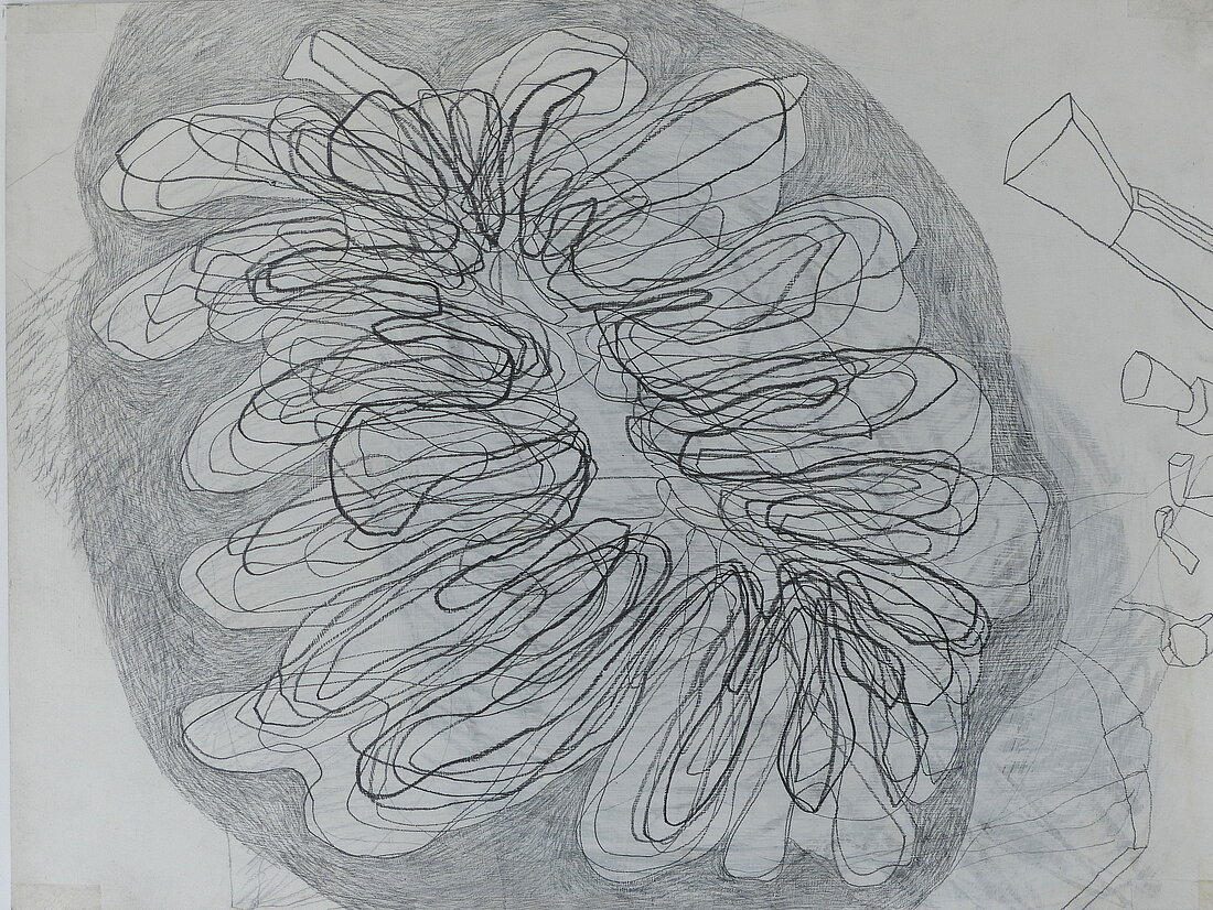 Johanna Helbling Felix „Gezeiten“, 30x40 cm, Bleistift auf Papier, 2015
